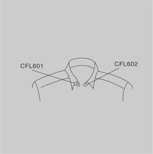 CFL601 CFL602
